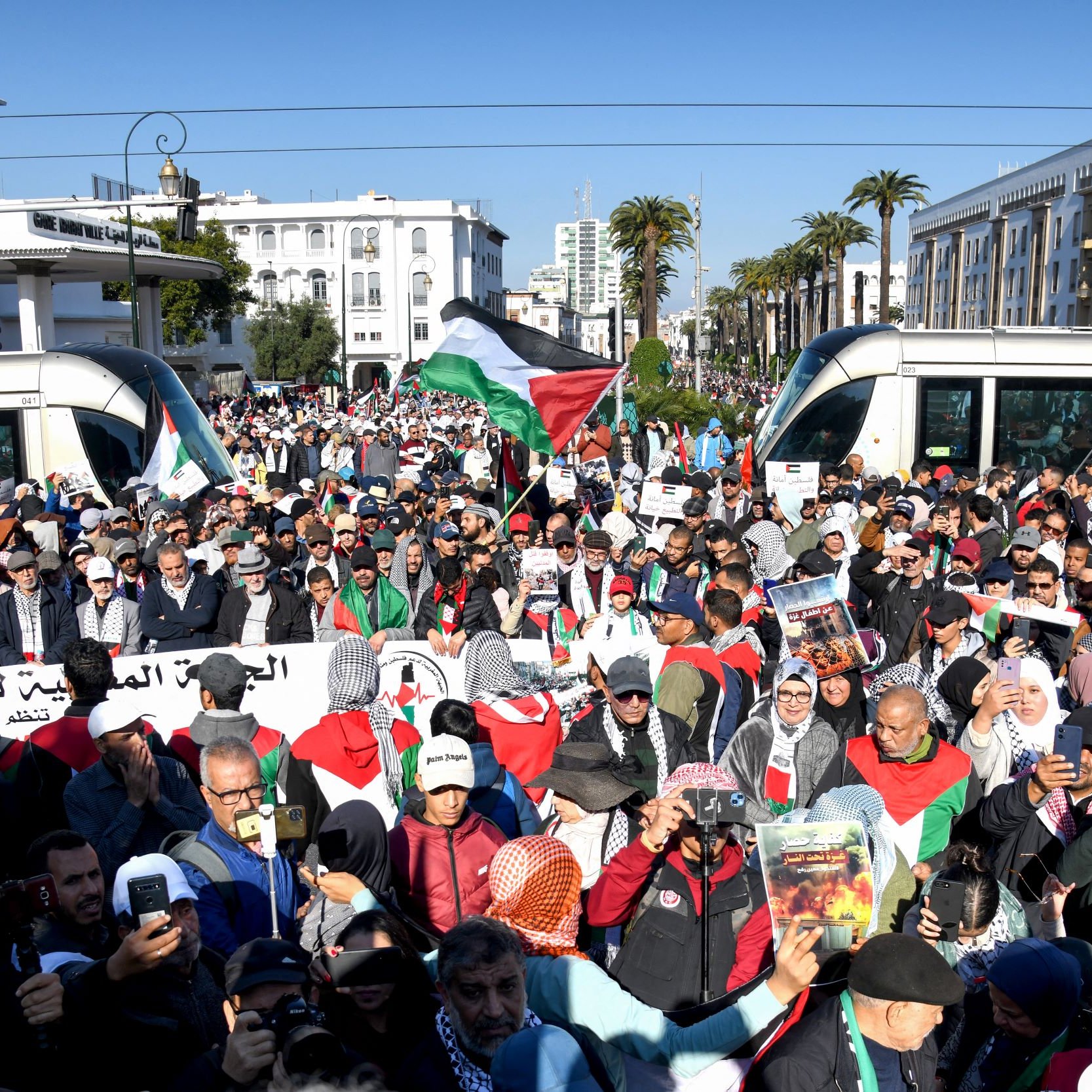 L'immagine mostra una grande manifestazione in una città, con un'assemblea di molte persone. La folla tiene cartelli e striscioni, e gli individui indossano sciarpe e abbigliamento che richiamano i colori della bandiera palestinese, come il rosso, il bianco, il verde e il nero. Sullo sfondo si possono vedere edifici e palme, suggerendo un clima temperato e un ambiente urbano. La manifestazione sembra essere caratterizzata da forte partecipazione e idealismo, probabilmente in supporto di una causa specifica legata alla Palestina.