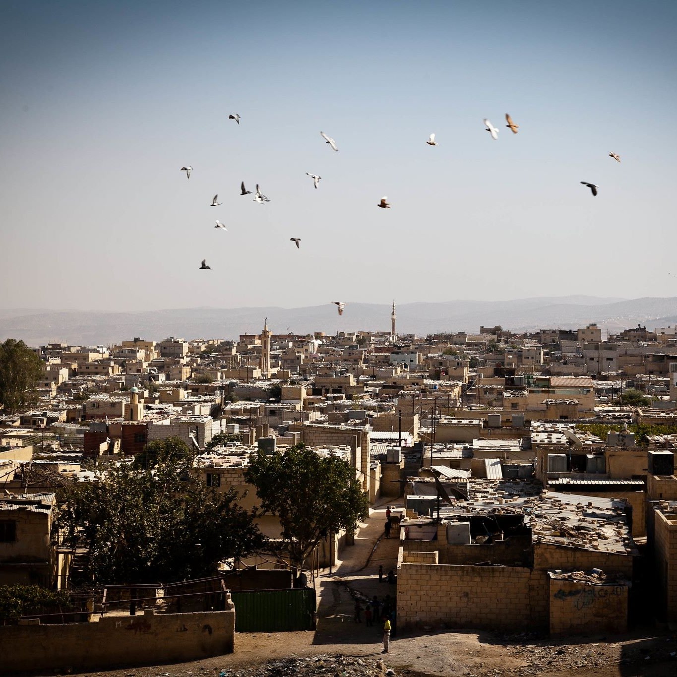 L'image présente un paysage urbain d'une ville avec de nombreuses maisons aux toits en désordre. Les bâtiments semblent en pierre ou en béton, et il y a une végétation limitée, avec quelques arbres. Au-dessus de la ville, un groupe d'oiseaux vole dans un ciel clair. En arrière-plan, des collines se dessinent, ajoutant une dimension naturelle à la scène. L'atmosphère parait à la fois calme et rurale.