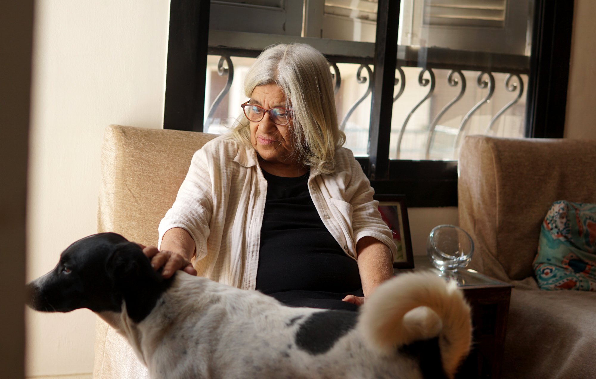 Nell'immagine, vediamo una donna anziana con capelli bianchi e lunghi che indossa occhiali e una camicia chiara. È seduta su un divano in una stanza luminosa, con una finestra sullo sfondo che lascia entrare la luce. Accanto a lei, un cane bianco con macchie nere si avvicina, mentre la donna sembra accarezzarlo con affetto. L'atmosfera è calda e accogliente, riflettendo un momento di intimità tra la donna e il suo animale domestico.