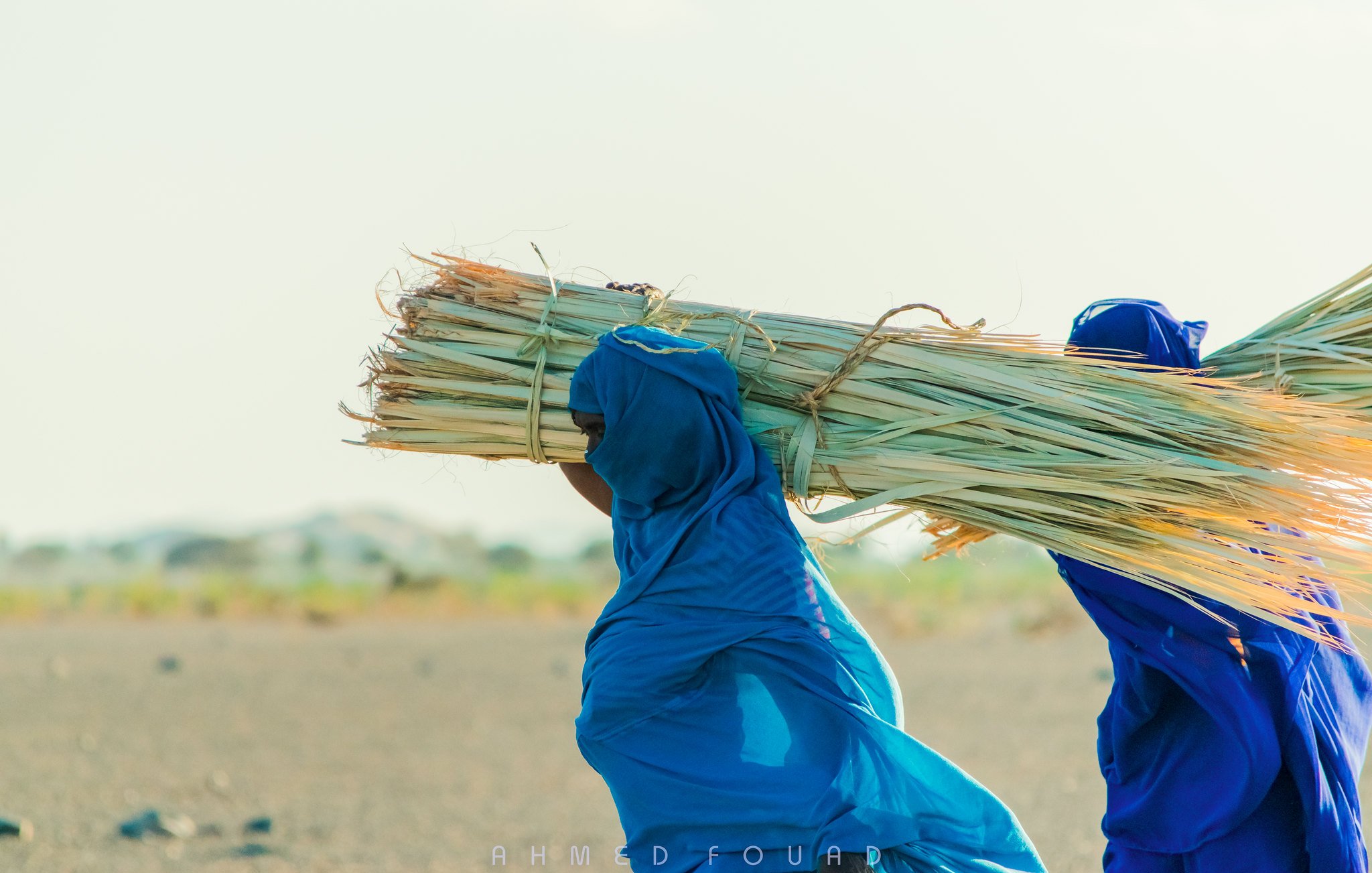 L'image montre deux personnes portant de lourdes charges de végétation sur leurs épaules. Elles sont vêtues de vêtements traditionnels, affichant des couleurs vives, notamment du bleu. Le paysage est aride, avec un sol poussiéreux et des collines en arrière-plan. La lumière du soleil éclaire la scène, créant une atmosphère de travail en plein air.