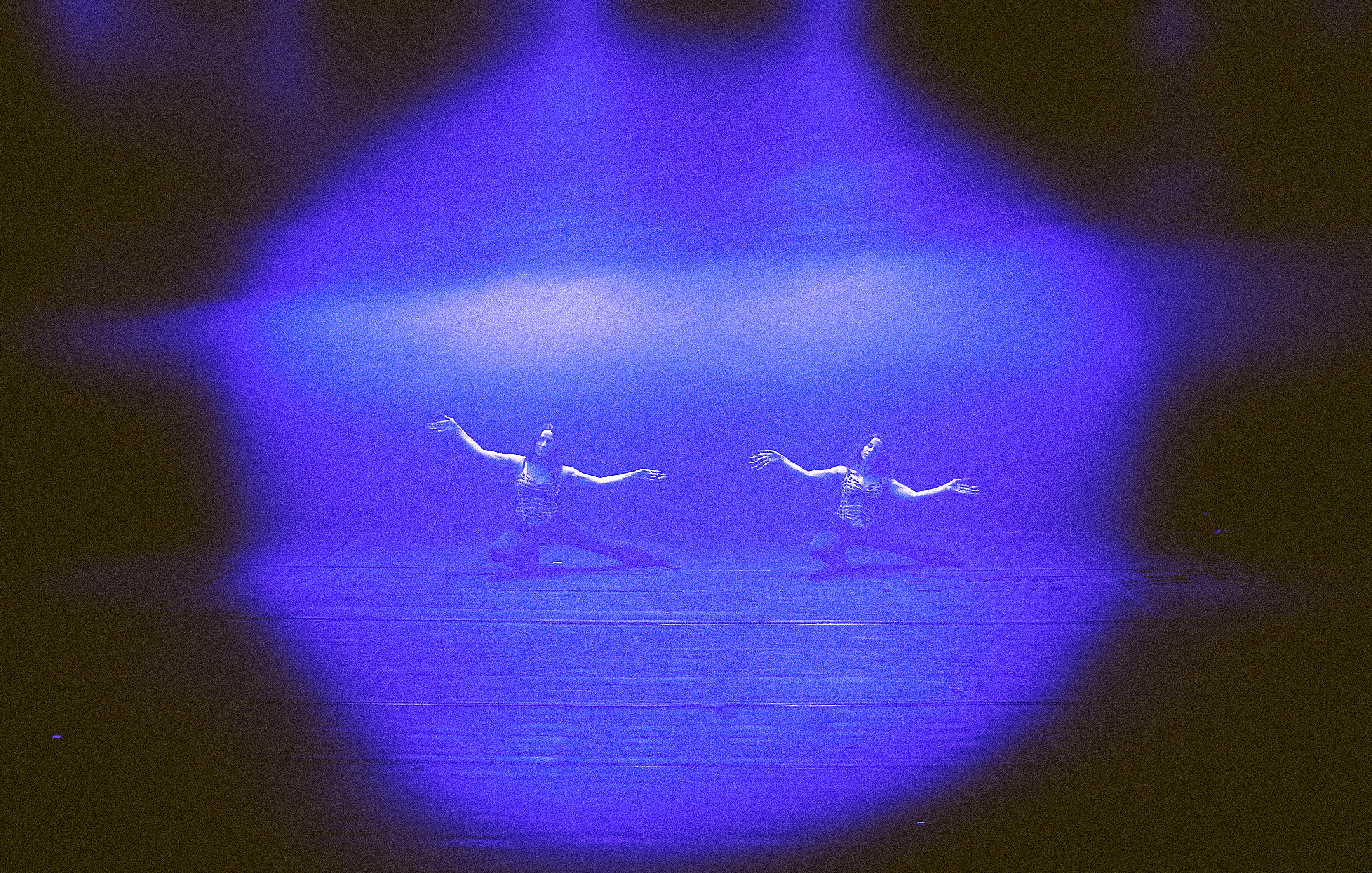 L'image montre deux danseurs sur scène, éclairés par des lumières bleues et violettes. Ils semblent en pleine performance, avec des mouvements expressifs et gracieuses, se trouvant dans un environnement sombre. La lumière crée une atmosphère dramatique, mettant en avant leur gestuelle et l'intensité de leur performance. Le décor est simple, ce qui permet aux danseurs de captiver toute l'attention.