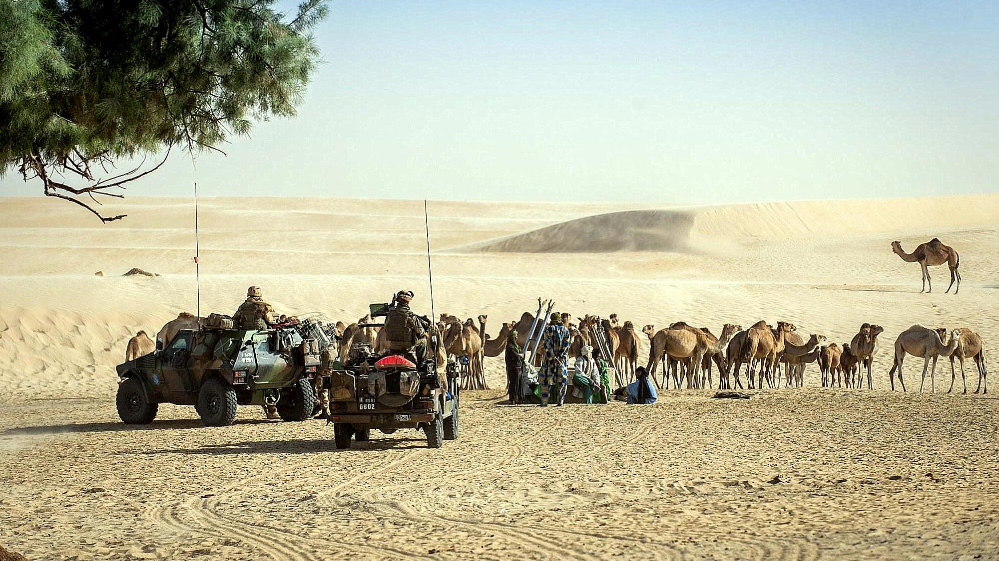 L'image montre un paysage désertique avec des dunes de sable en arrière-plan. On voit deux véhicules tout-terrain, probablement militaires, stationnés sur le sable. À proximité, un groupe de chameaux est rassemblé, tandis que quelques-uns se tiennent à l'écart. Le ciel est bleu et le soleil brille, ce qui donne une atmosphère aride et chaude à la scène. Au loin, on aperçoit également un arbre isolé, ajoutant un peu de verdure au paysage désertique.