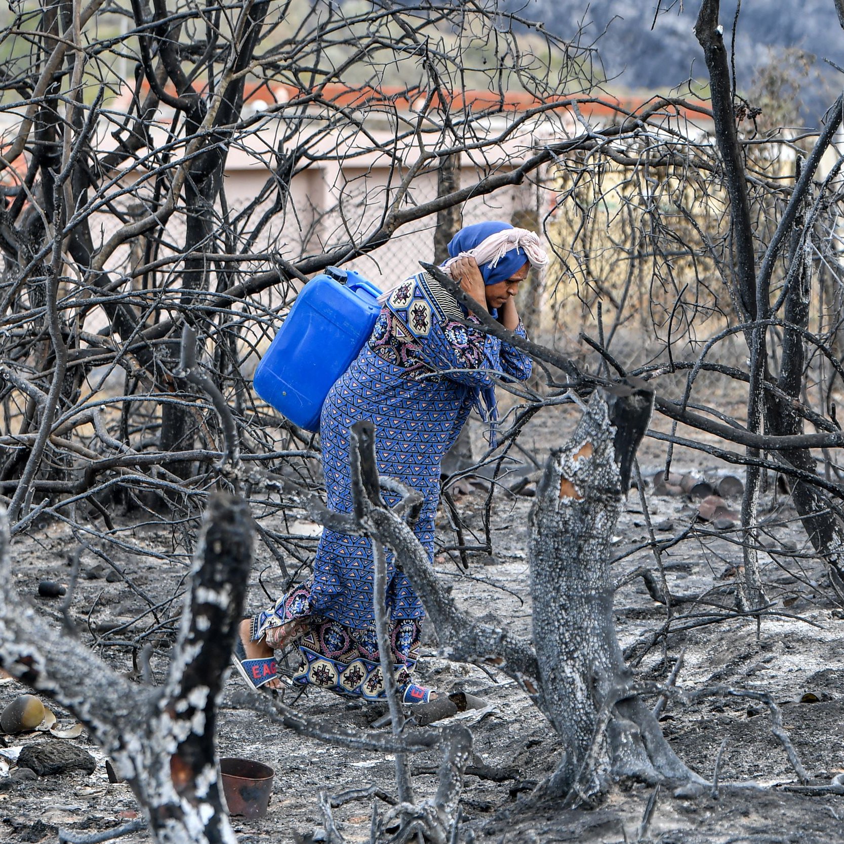 The image depicts a woman wearing a patterned dress and headscarf, walking through a landscape that has been ravaged by fire. The ground is charred and blackened, with the remnants of burned trees and vegetation surrounding her. She is carrying a blue container, possibly for water, as she navigates through the bleak, desolate environment. The backdrop includes hints of buildings, suggesting that this area has been impacted by a wildfire. The scene conveys a sense of loss and resilience amidst the devastation.