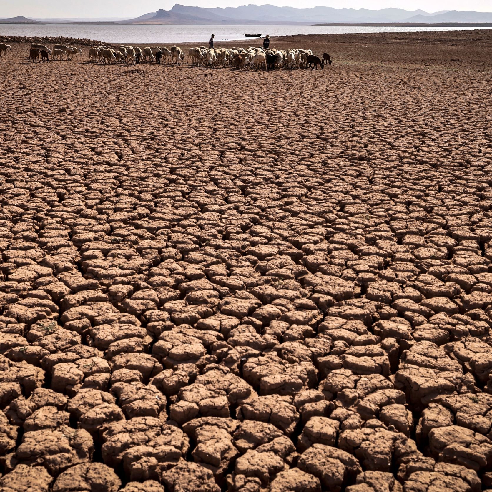 L'image montre un paysage aride et desséché, caractérisé par un sol fendu en craquelures profondes. Au loin, on aperçoit un groupe de personnes qui semblent guider un troupeau d'animaux. L'environnement est désolé, probablement en raison de la sécheresse, avec des montagnes floues à l'arrière-plan. L'atmosphère dégage un sentiment de difficulté et de lutte face aux conditions climatiques austères.