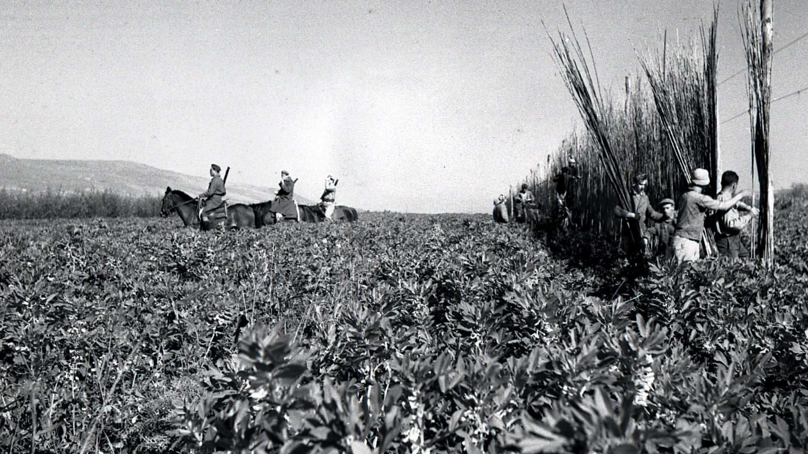 L'image montre une scène de récolte où plusieurs personnes travaillent dans un champ. On peut voir des travailleurs à cheval au fond, tandis que d'autres, au premier plan, semblent couper ou rassembler des plantes ou des herbes. Le paysage est vaste et rural, avec un ciel clair, suggérant une journée ensoleillée. Les vêtements des travailleurs peuvent indiquer une époque passée, donnant à l'image un air nostalgique.