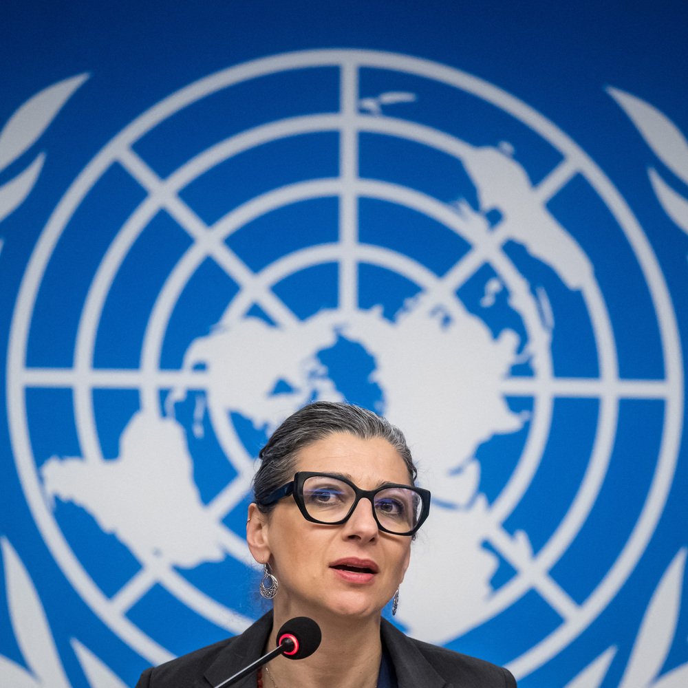 L'immagine mostra una donna che sta parlando di fronte a un microfono, con uno sfondo che presenta il logo delle Nazioni Unite. La donna ha gli occhiali e un'espressione seria, suggerendo che si tratta di una conferenza o di una presentazione ufficiale. Lo sfondo blu è decorato con il simbolo del globo terrestre, circondato da rami di ulivo, che rappresenta la pace.