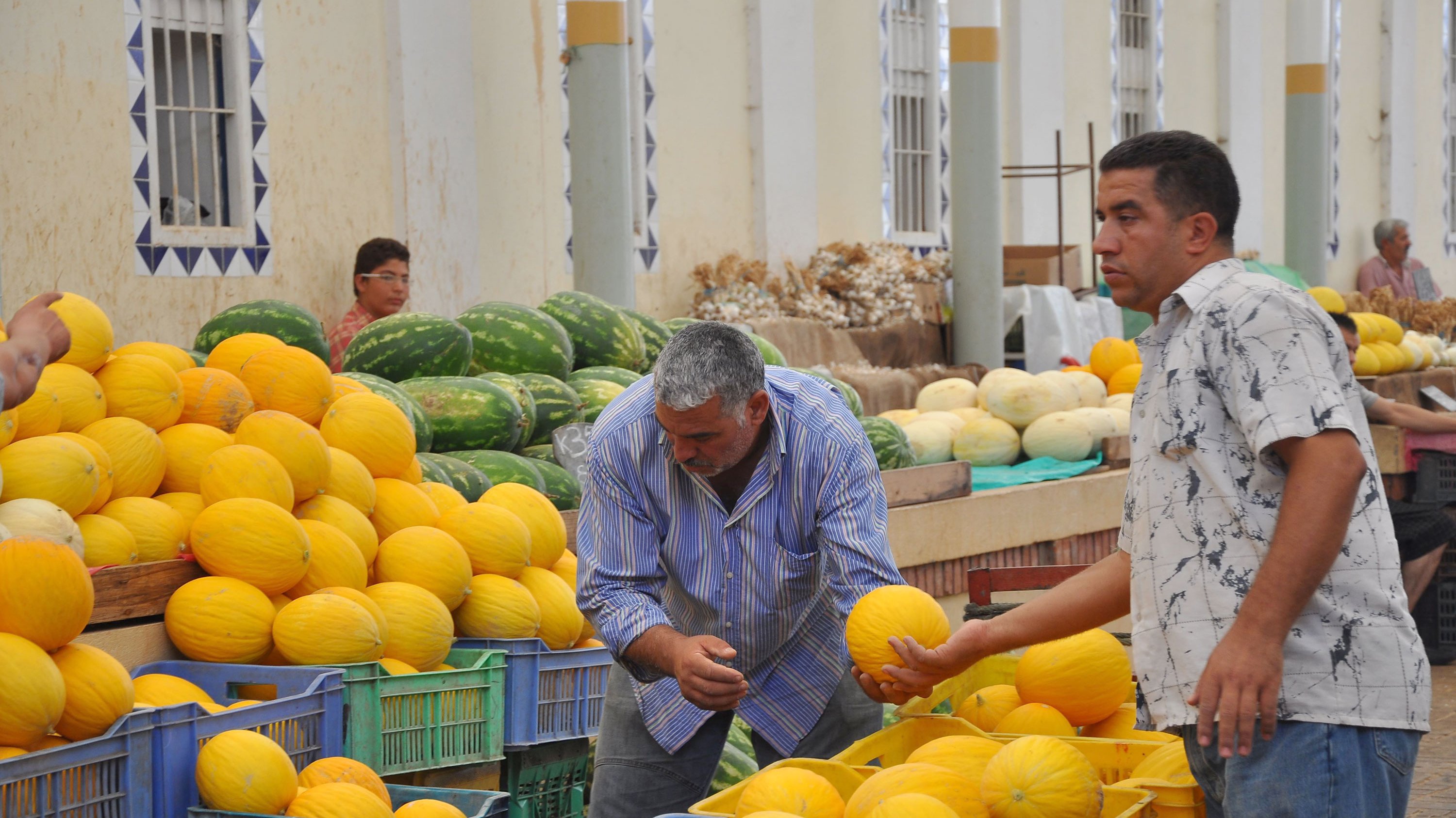 L'image montre un marché où plusieurs personnes s'occupent de la vente de melons. Il y a des paniers en plastique contenant des melons jaunes, et des melons de différentes tailles sont dispersés sur des tables. Deux hommes sont au premier plan : l'un est penché pour examiner un melon, tandis que l'autre tient un melon et semble discuter ou réfléchir. En arrière-plan, on peut voir d'autres melons et des gens qui s'affairent. L'ambiance semble animée et colorée, typique d'un marché local.