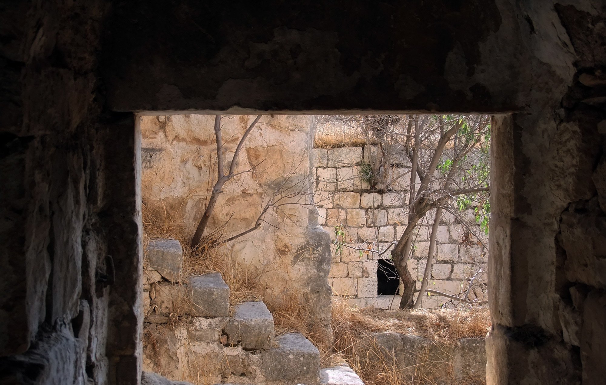 الصورة تُظهر إطار نافذة يطل على مشهد قديم يحتوي على جدران حجرية ودرجات. يبدو أن المكان مهجور، حيث يبرز فيه نبات جاف وبعض الأعشاب. من خلال النافذة، يمكن رؤية جزء من مبنى قديم، مما يوحي بتاريخ طويل للمكان. الجو العام يعكس الشعور بالهدوء والسكينة، مع لمسات من الطبيعة التي بدأت تستعيد المكان.