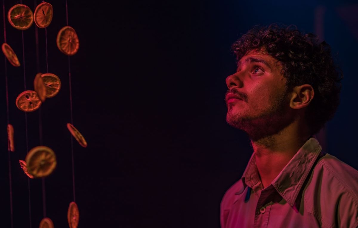 L'immagine mostra un giovane uomo che osserva con meraviglia degli agrumi essiccati appesi in aria. La sua espressione è attenta e sognante, mentre le luci soffuse creano un'atmosfera suggestiva. I colori caldi degli agrumi contrastano con il fondo scuro, enfatizzando la bellezza dell'installazione.