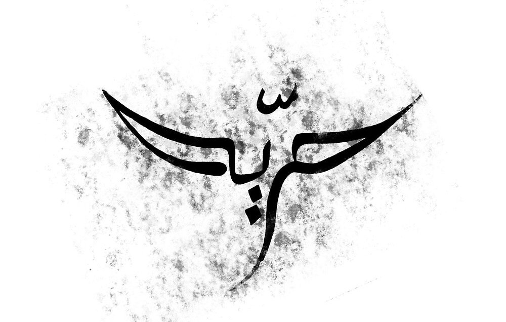 L'image représente un symbole stylisé en noir sur un fond texturé et légèrement grisé. Le symbole semble évoquer des ailes ou un mouvement ascendant, ce qui peut suggérer des thèmes de liberté ou d'élévation. Les lignes sont fluides et artistiques, créant une impression dynamique. Ce genre de design peut être interprété de différentes manières selon le contexte culturel.