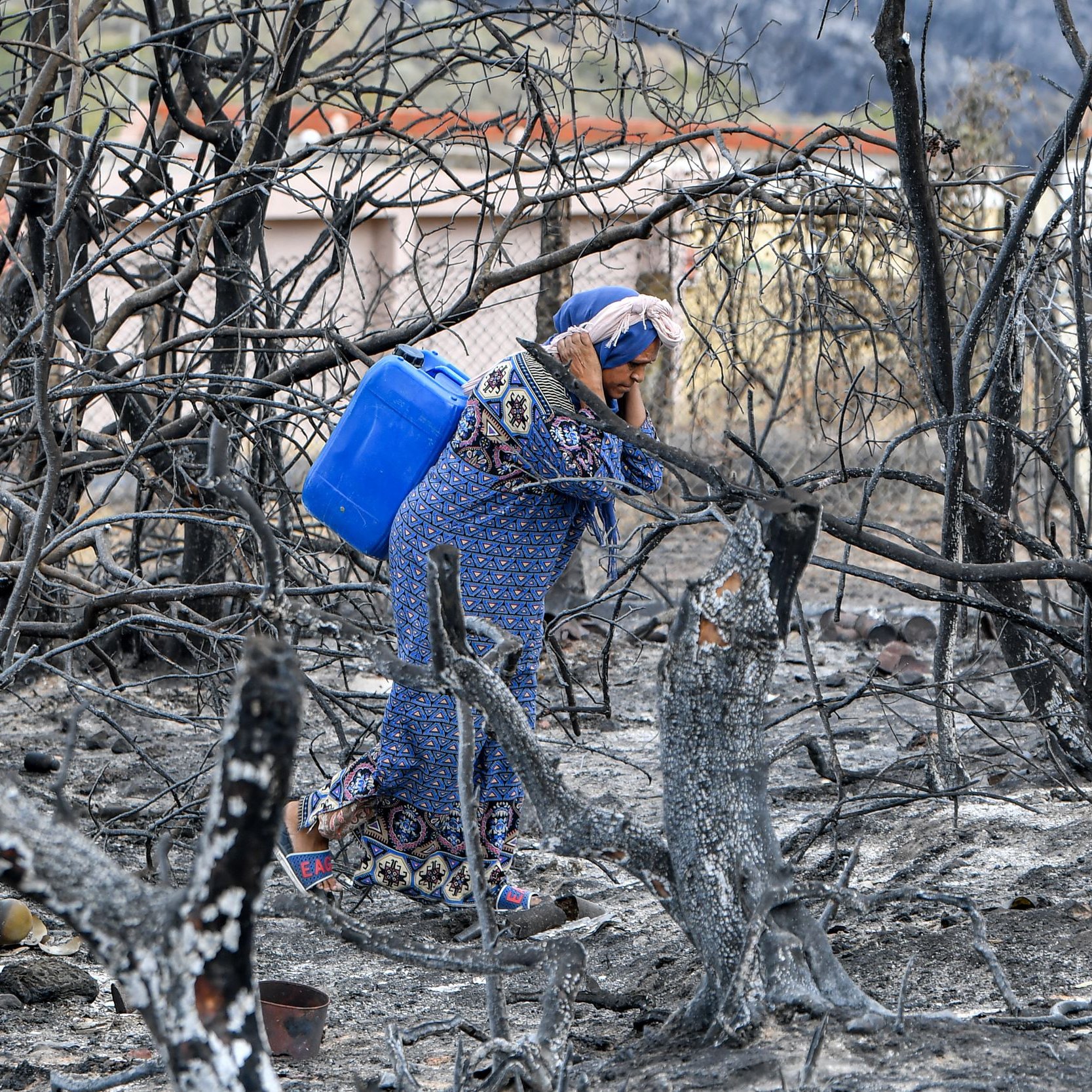 L'image montre une femme vêtue d'une robe traditionnelle, portant un seau bleu, qui se tient parmi des arbres brûlés et des débris d'un terrain ravagé par un incendie. Le paysage est marqué par des troncs d'arbres noircis et des cendres, suggérant une récente catastrophe naturelle. La femme semble en quête de quelque chose ou en train d'évaluer les dommages dans cette zone dévastée.