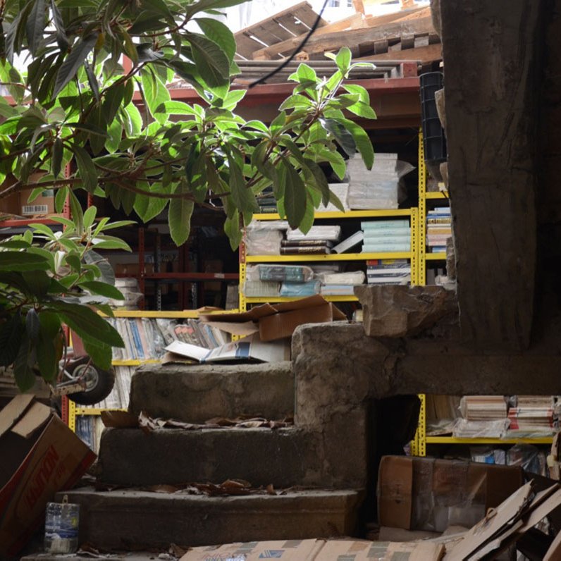 الصورة تظهر مشهدًا داخليًا لمكان يبدو وكأنه مستودع أو مكتبة مهجورة. يوجد في الصورة درج متآكل يقود إلى مستوى أعلى، محاط بكومة من الصناديق والكتب الملقاة على الأرض. على اليمين، هناك أشجار أو نباتات خضراء تنمو في المكان، مما يعطي لمسة طبيعية للمشهد. في الخلفية، تتواجد رفوف مزدحمة بالكتب والصناديق. الإضاءة تأتي من النوافذ العليا، مما يضيف عمقًا وإحساسًا بالغموض للمكان.