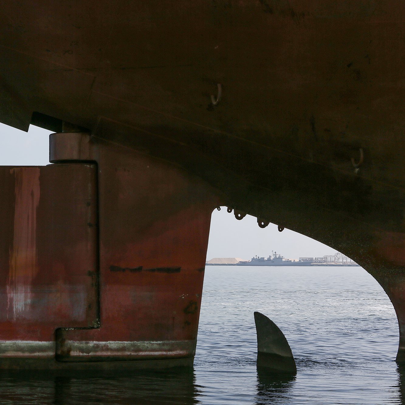 در این تصویر، یک کشتی بزرگ در حال لنگر انداختن در آب دیده می‌شود. قسمت زیرین و بدنه کشتی، با رنگی قهوه‌ای مائل به قرمز و سطوح زنگ‌زده مشخص شده است. در زیر بدنه کشتی، بخشی از باله یا دم یک موجود دریایی قابل مشاهده است که به آرامی از آب بیرون آمده است. در پس‌زمینه، چند کشتی دیگر در فاصله دورتر دیده می‌شوند و فضا روشن و آرام به نظر می‌رسد.