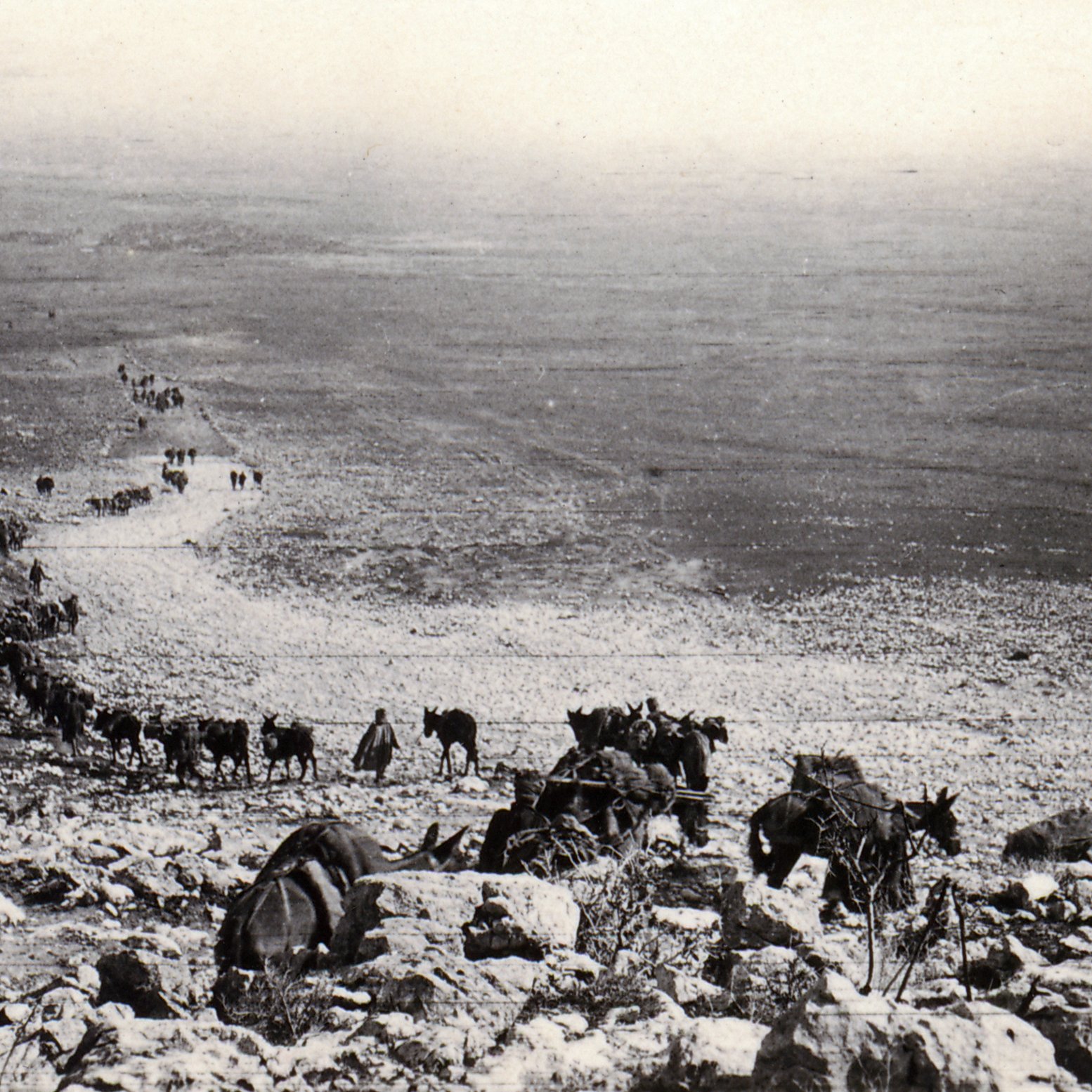 L'image montre un paysage désertique avec un groupe de personnes et d'animaux, probablement des mulets ou des ânes, qui avancent sur un chemin rocailleux. À l'avant, un homme en manteau et en chapeau observe la scène. Au loin, on peut voir une longue file de silhouette se déplaçant à travers des terrains arides. L'atmosphère est presque nostalgique, évoquant un temps passé.