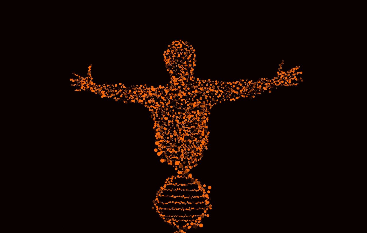 این تصویر نمایشگر یک سیلابس انسانی است که از نقاط یا کروی‌های نارنجی رنگ تشکیل شده است. این شکل انسانی با دستان باز در حال ایستادن است و به نظر می‌رسد که به DNA یا ساختار ژنتیکی اشاره دارد، چرا که در زیر آن، دو مارپیچ مشابه به ساختار DNA دیده می‌شود. پس‌زمینه تصویر کاملاً سیاه است که بر جذابیت و تمرکز روی فرم انسانی و الگوهای DNA تأکید می‌کند.