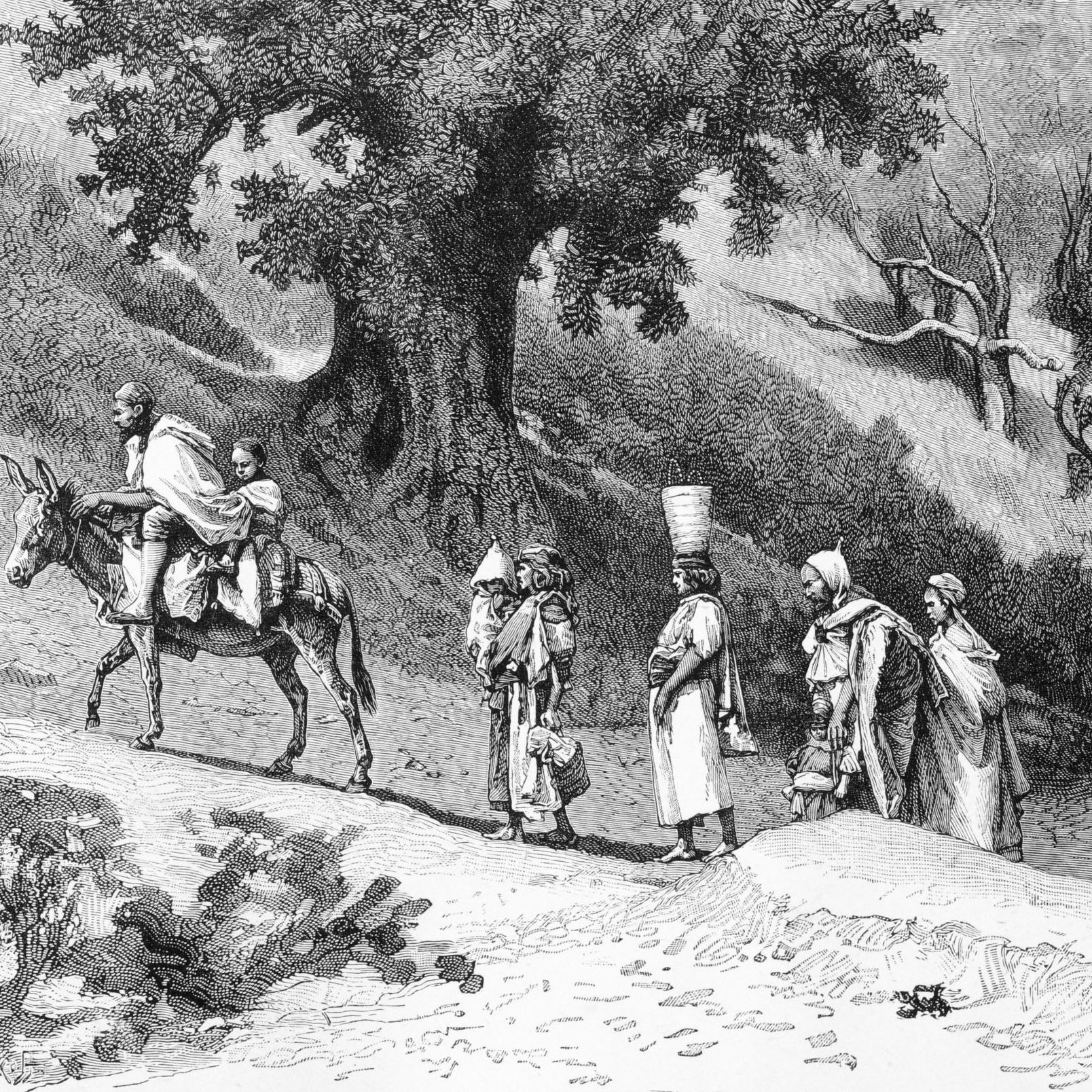 L'image représente une scène en noir et blanc où plusieurs personnages se déplacent sur un chemin. Au premier plan, un homme est assis sur un âne, tandis qu'un autre homme le guide à pied. D'autres figures, habillées de vêtements traditionnels, marchent derrière eux. La végétation environnante est constituée d'arbres, certains dépouillés, suggérant une ambiance peut-être désertique ou rural. L'illustration dégage une atmosphère historique, typique des gravures anciennes.