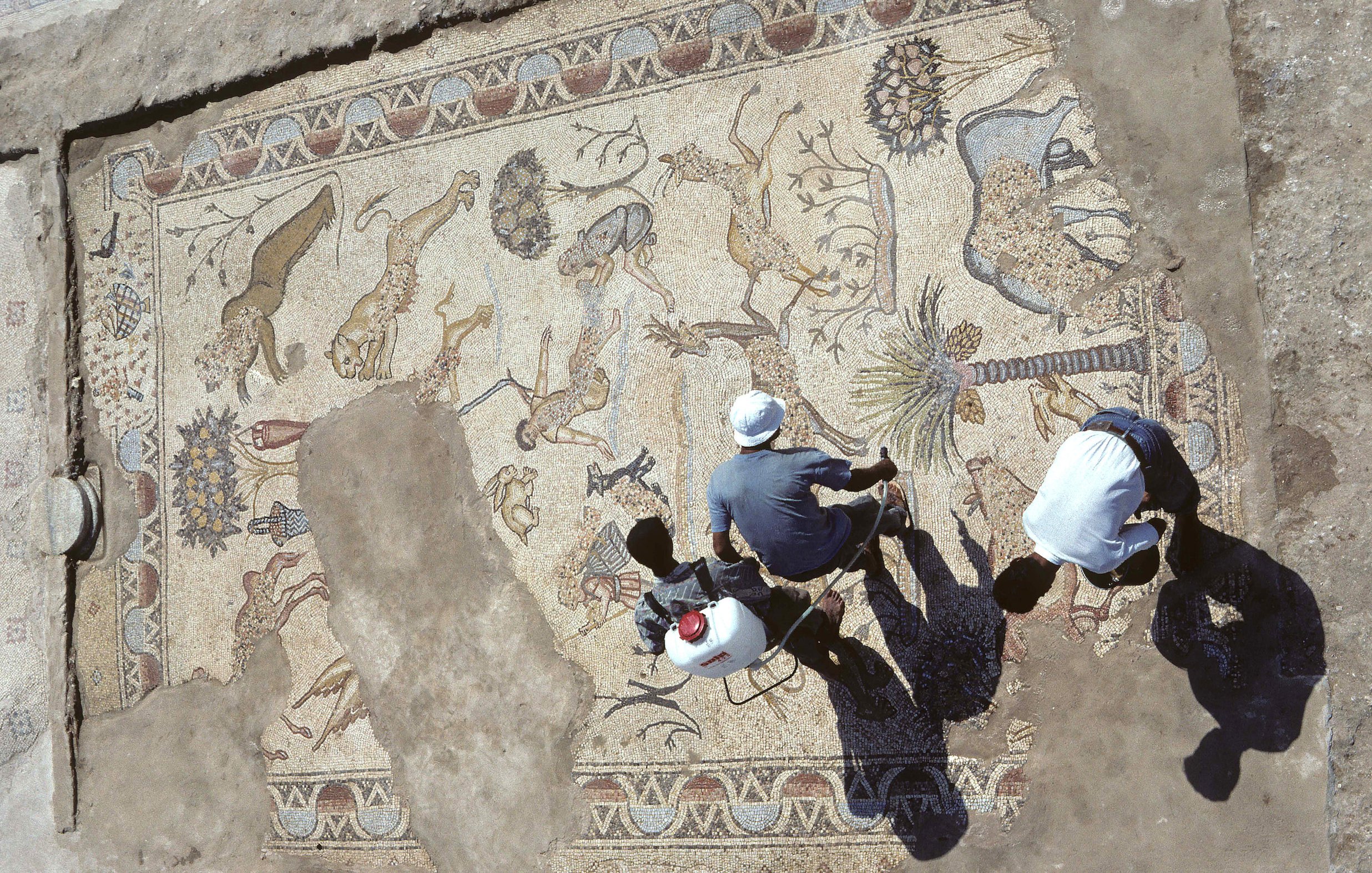 L'immagine mostra un antico mosaico, parzialmente scavato, con una varietà di animali e motivi decorativi. Si possono osservare figure di leoni, cervi e palme, che suggeriscono una rappresentazione di scene naturali. Due persone sono visibili nella parte inferiore, impegnate nel lavoro di pulizia o restauro del mosaico. L'illuminazione crea ombre sul pavimento, accentuando i dettagli del mosaico e l'atmosfera archeologica del sito.