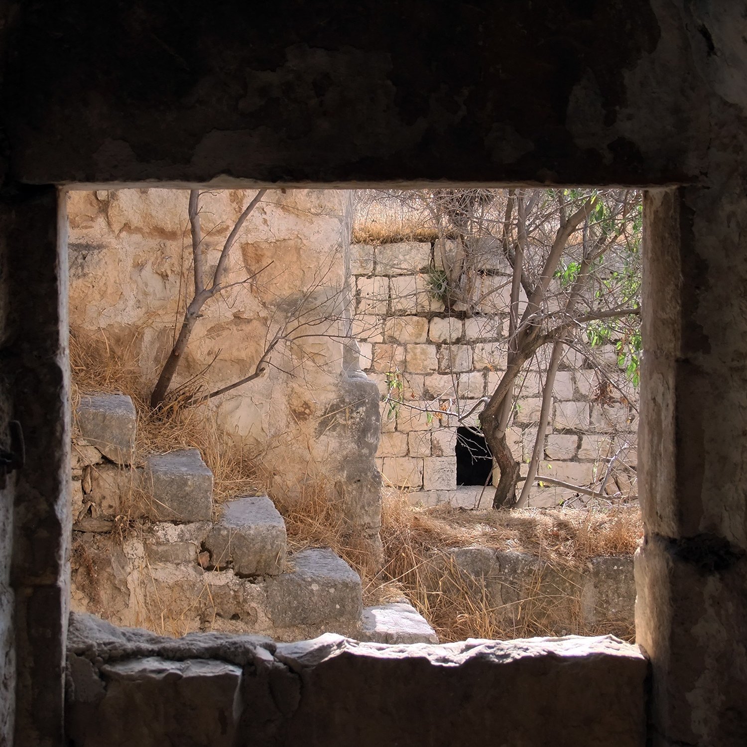 L'image montre un cadre en pierre, à travers lequel on peut apercevoir un paysage de ruines anciennes. On voit des murs en pierre, partiellement couverts de végétation, et quelques marches. À l'intérieur du cadre, une plante semble pousser dans le coin, ajoutant une touche de nature à ce décor architectural. La lumière pénètre doucement à travers l'ouverture, créant une ambiance à la fois paisible et nostalgique.