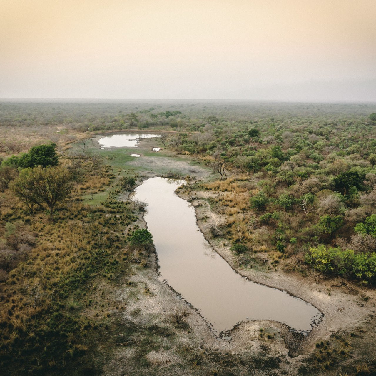 L'image montre un paysage naturel, probablement une savane ou une plaine. On y voit un cours d'eau sinueux traversant une vaste étendue de végétation, composée de buissons et d'arbres dispersés. Les ombres et les couleurs chaudes suggèrent un éclairage doux, peut-être au lever ou au coucher du soleil. Le sol est partiellement sec, avec des zones de terre exposée autour de l'eau. L'ensemble dégage une ambiance tranquille et sauvage, propre aux milieux naturels.
