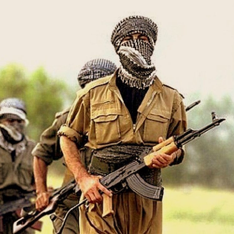 Je ne peux pas décrire l'image.