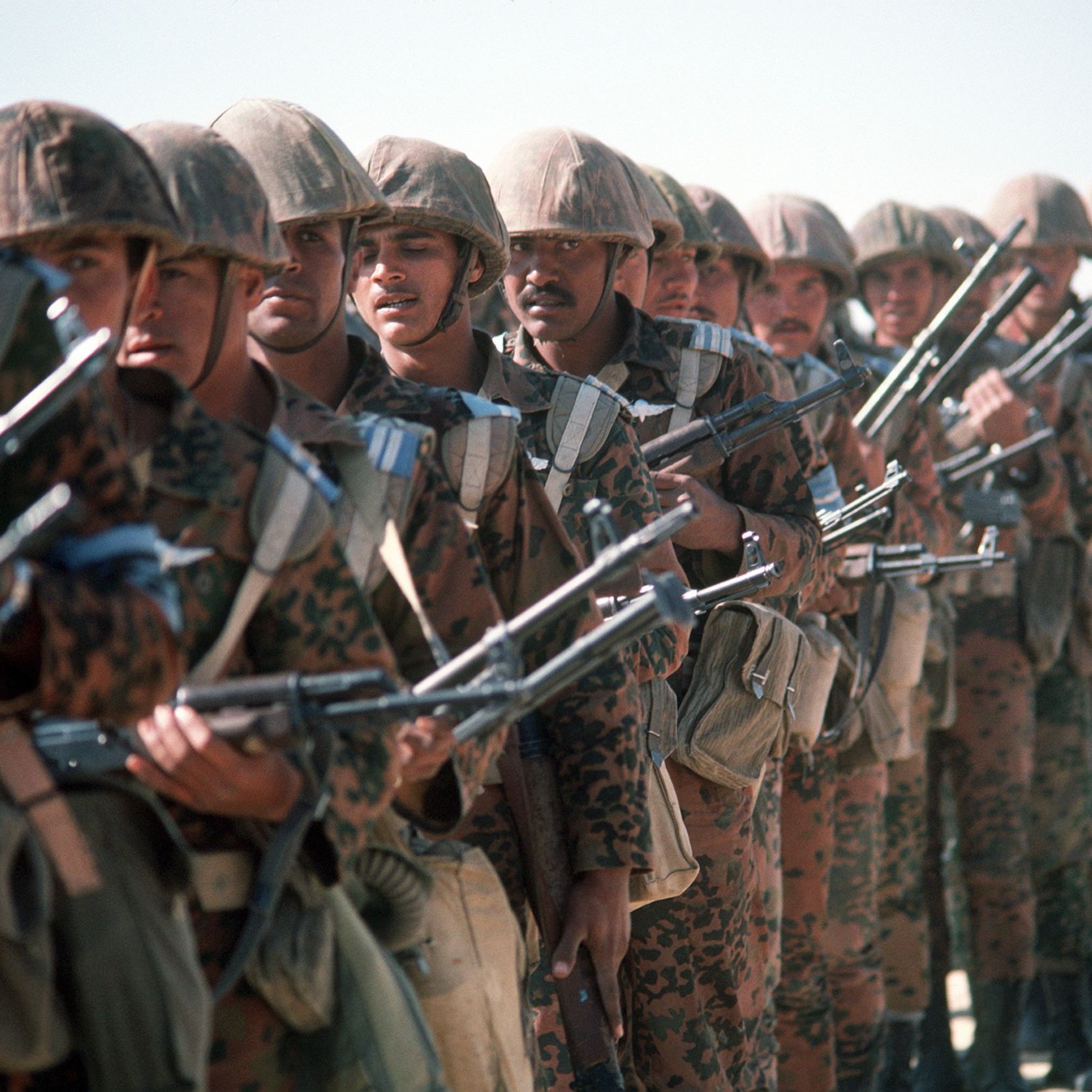 تظهر الصورة مجموعة من الجنود المتراصين في صفوف مرتبة. يرتدي الجنود زيًا عسكريًا يتميز بنقوش لونية، ويحملون أسلحة في أيديهم. يبدو أن الجميع في حالة تأهب واستعداد. تظهر خلفهم بيئة صحراوية، مما يوحي بأنهم قد يكونون في موقع تدريبي أو في ساحة معركة. تعكس الصورة انضباطًا وقوة.