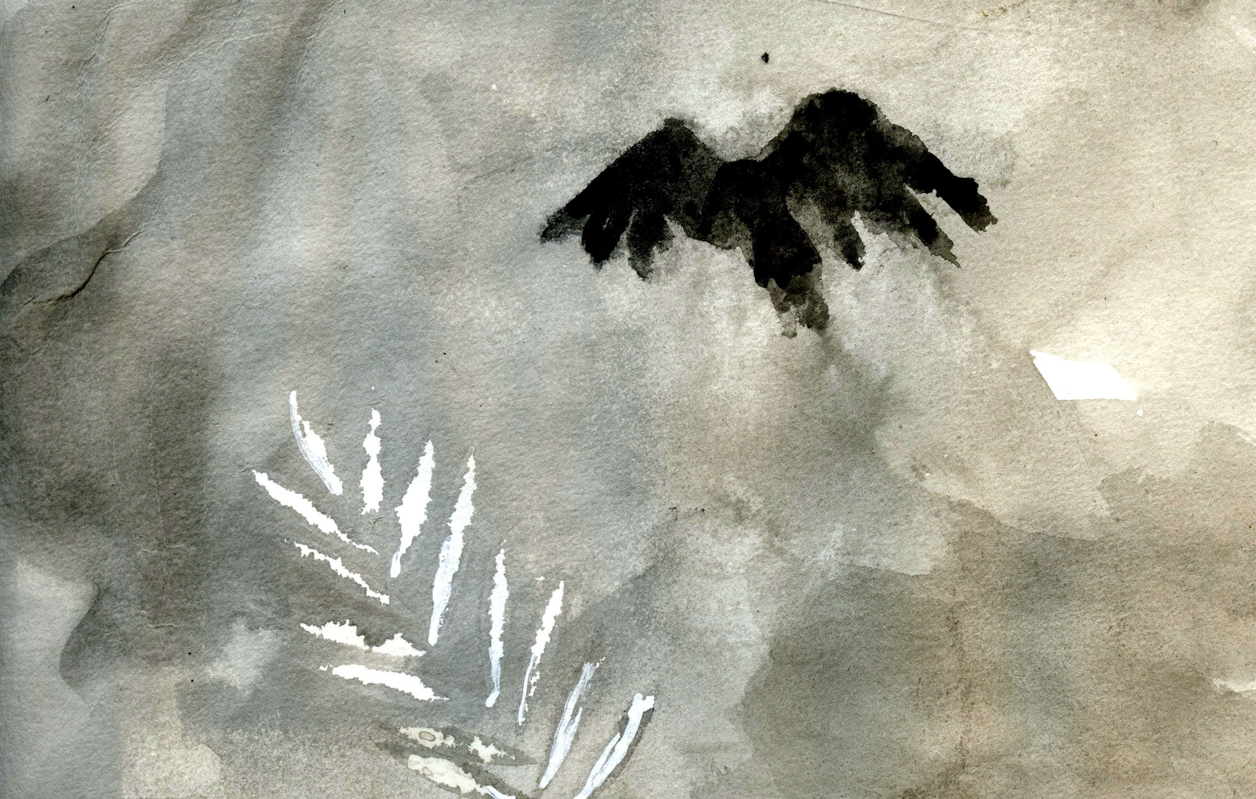 L'image présente un fond aquarelle aux nuances de gris et de noir. On y observe une silhouette sombre qui ressemble à un oiseau en vol, avec des ailes étendues. En bas à gauche, quelques traits blancs évoquent des feuilles ou des motifs végétaux. L'ensemble crée une atmosphère douce et mélancolique, avec un contraste subtil entre les éléments sombres et clairs.