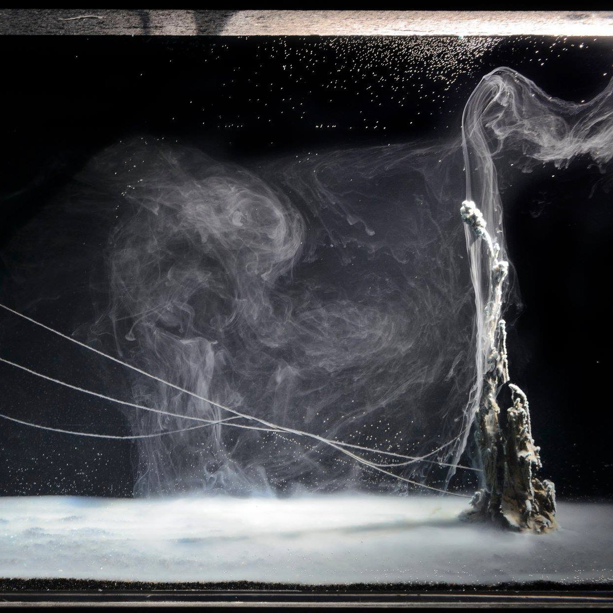 این تصویر شامل یک منظره زیرآبی است که به نظر می‌رسد بخار یا جریانی از آب در حال حرکت است. در پس‌زمینه، رنگ‌های تیره و مشکی غالب هستند و در جلوی تصویر، خط‌هایی نازک و نورانی دیده می‌شوند که به طور ابداعی در هم تنیده شده‌اند. همچنین، عناصری شبیه به سنگ‌های زیر آب نیز وجود دارند که به ایجاد عمق و حس سه‌بعدی کمک می‌کند. کلیت تصویر احساسی اسرارآمیز و زیبا دارد.