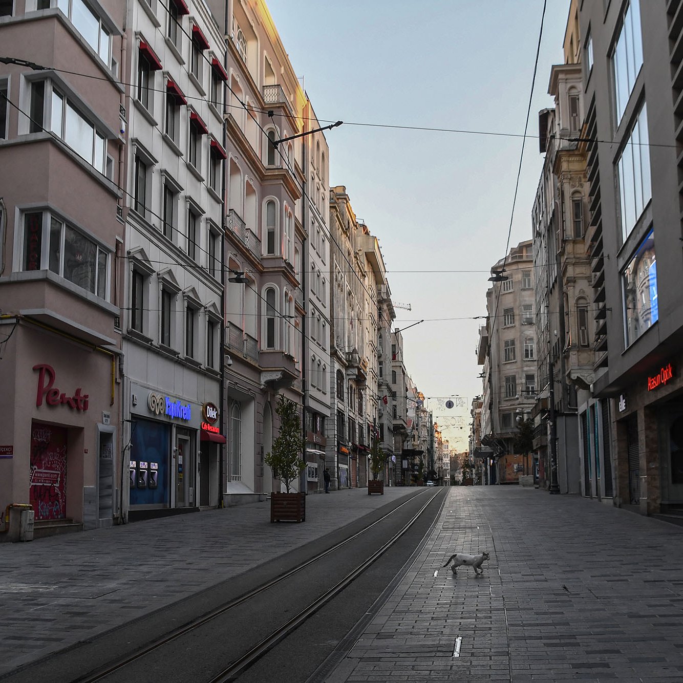 L'image montre une rue calme et déserte, probablement prise tôt le matin ou en fin de journée. À gauche, il y a des bâtiments avec des façades modernes et des magasins aux devantures visible, dont un portant le nom "Pearls". Le sol est pavé et des rails de tramway traversent la rue. Au centre de l'image, on aperçoit un chien qui marche paisiblement. Les bâtiments de droite affichent également divers commerces, bien que certains semblent fermés. L'atmosphère est tranquille, soulignant l'absence de circulation et de piétons.