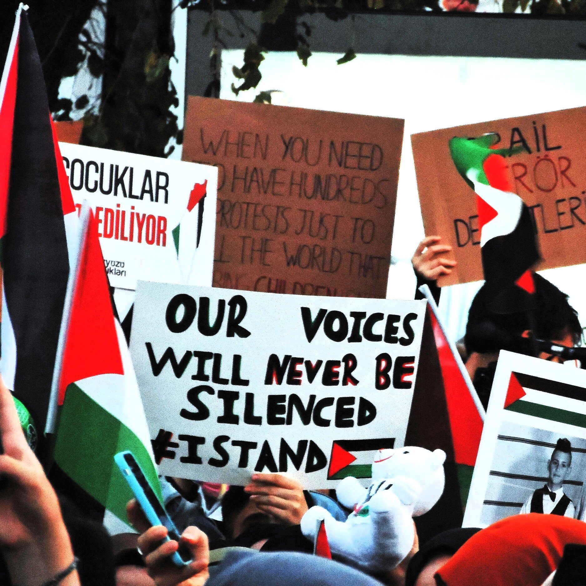 L'immagine mostra una folla di persone impegnate in una manifestazione. La maggior parte dei manifestanti tiene in mano cartelli con diverse scritte e bandiere, molte delle quali sembrano rappresentare il Palestinese. Tra i cartelli, uno evidenzia il messaggio "Our voices will never be silenced," che esprime determinazione e unità. Atmosfera di protesta e attivismo è palpabile, con la presenza di simboli politici e sociali.