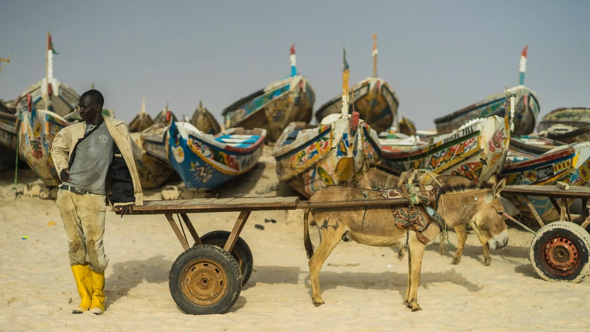 L'image montre un homme debout à côté d'une charrette tirée par un âne sur une plage. En arrière-plan, plusieurs bateaux colorés sont échoués sur le sable, ornés de motifs et de peintures vives. L'homme porte des bottes jaunes, un pantalon beige et une veste claire. L'ambiance évoque une scène de la vie maritime, probablement liée à la pêche.