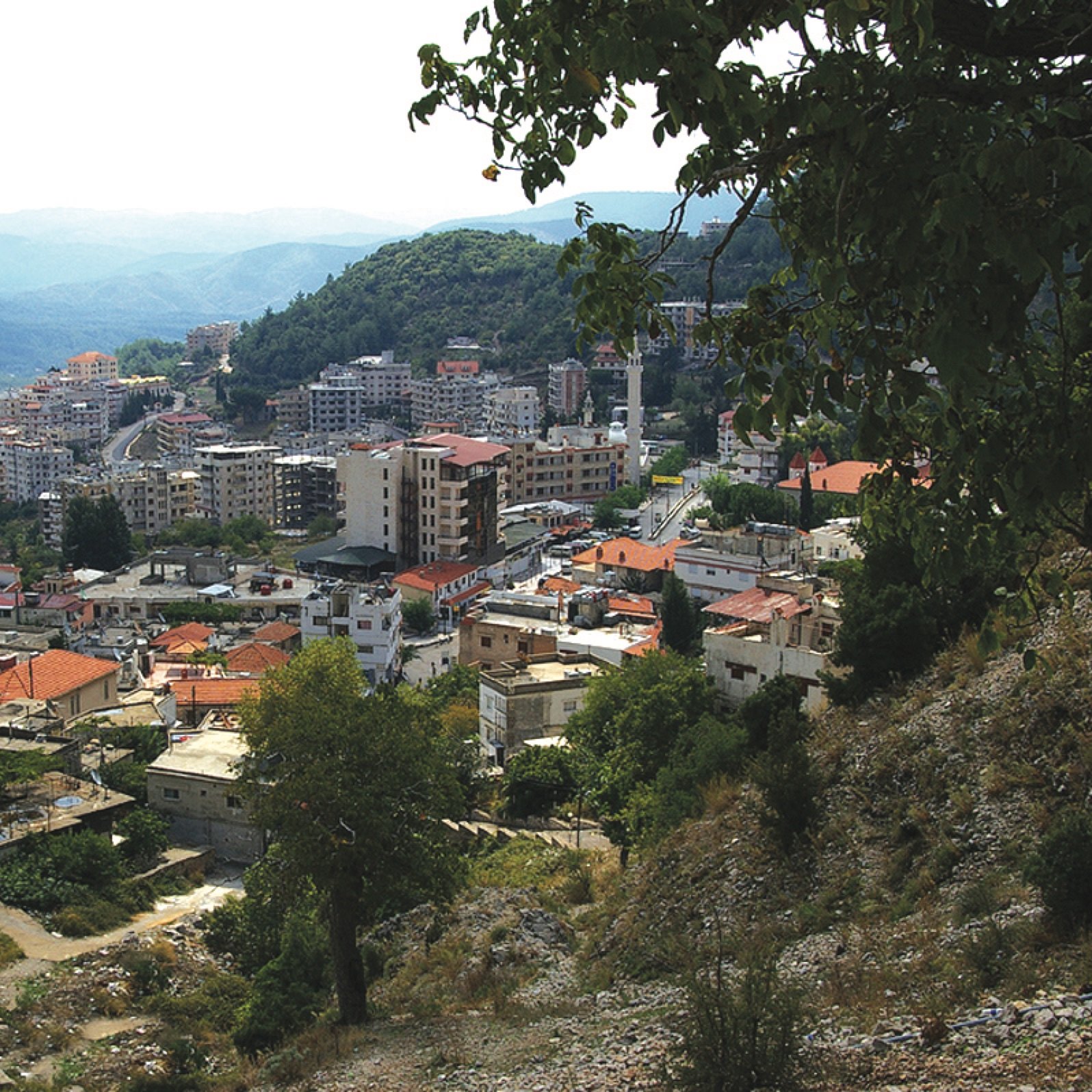 L'image présente une vue panoramique d'une ville située dans une vallée montagneuse. On peut voir une combinaison de bâtiments modernes et traditionnels, avec des toits en tuiles orange contrastant avec les structures plus récentes. La végétation est abondante, avec des arbres et des collines verdoyantes en arrière-plan. Le ciel est légèrement nuageux, ajoutant une atmosphère douce à la scène. Cette image évoque un mélange de nature et d'urbanité, typique d'une région montagnarde.