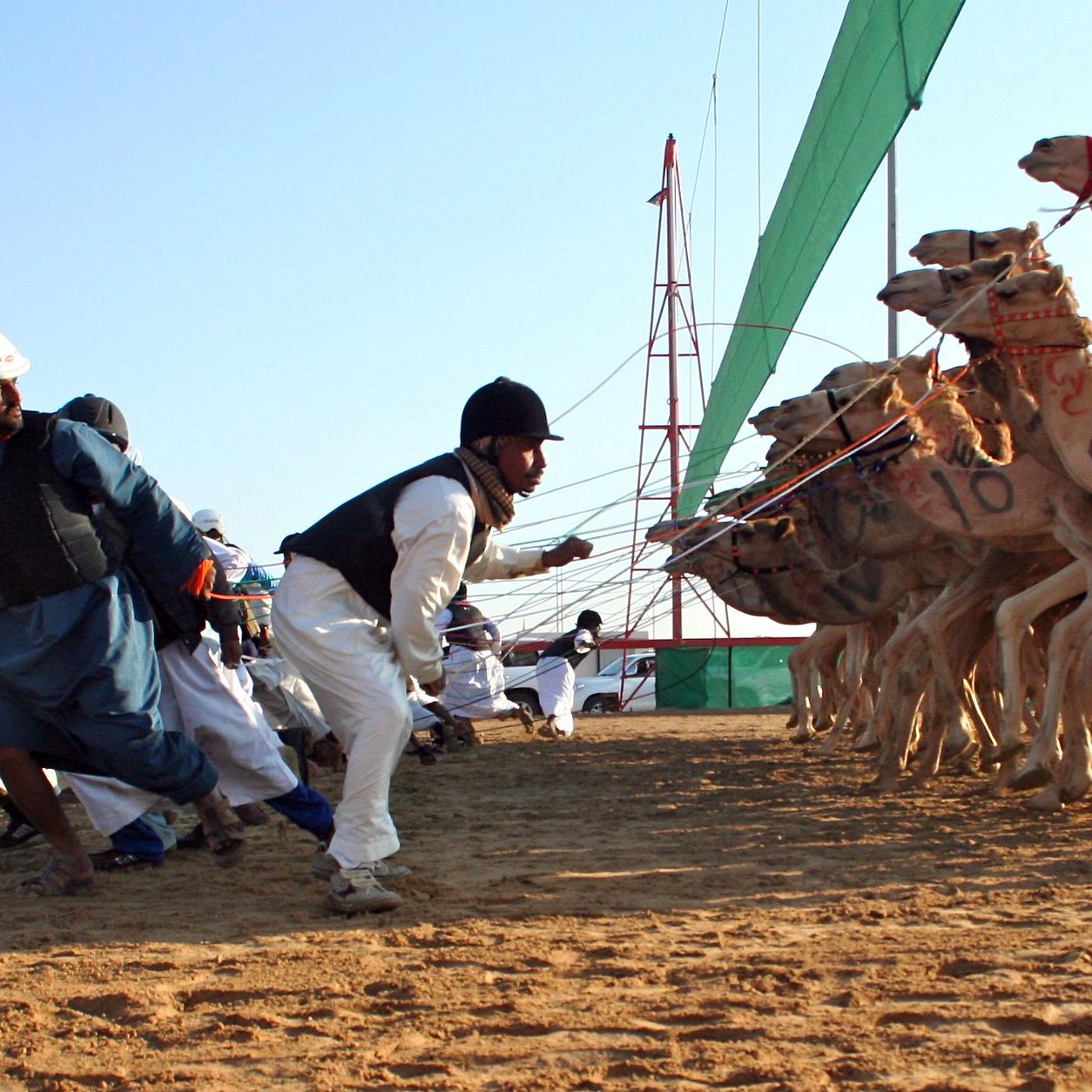 تشير الصورة إلى سباق الإبل، حيث يُلاحظ عدد من الإبل التي تم تجهيزها للسباق، يقودها متسابقون يرتدون ملابس تعبر عن التراث. يتمسك البعض بالحبال الخاصة بالإبل بينما تتحرك الإبل نحو خط النهاية. يتميز المكان بأجواء احتفالية، مع وجود خيام وبساط من الرمال تحت أشعة الشمس.