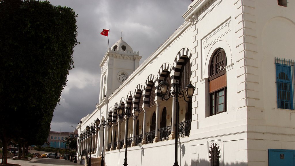 تظهر الصورة مبنىً تاريخياً يتميز بالتصميم المعماري الأنيق. يتمتع المبنى بجدران بيضاء وأسقف مميزة، ويحتوي على نوافذ كبيرة مزينة بأقواس. هناك ساعة كبيرة على أحد جوانب المبنى، وعلوه يبرز به علم تركيا. تحيط بالمكان أشجار خضراء، بالإضافة إلى ممرات مبلطة وأعمدة إنارة تضفي جواً جمالياً على المشهد. السماء تظهر محملة بالغيوم، مما يضيف طابعاً درامياً إلى الصورة.