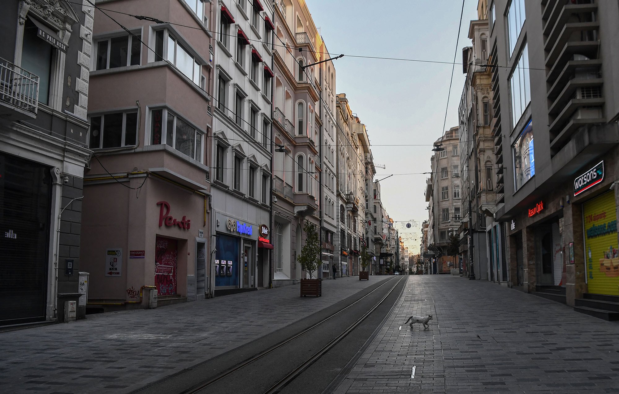 L'image montre une rue calme et déserte, probablement prise tôt le matin ou en fin de journée. À gauche, il y a des bâtiments avec des façades modernes et des magasins aux devantures visible, dont un portant le nom "Pearls". Le sol est pavé et des rails de tramway traversent la rue. Au centre de l'image, on aperçoit un chien qui marche paisiblement. Les bâtiments de droite affichent également divers commerces, bien que certains semblent fermés. L'atmosphère est tranquille, soulignant l'absence de circulation et de piétons.