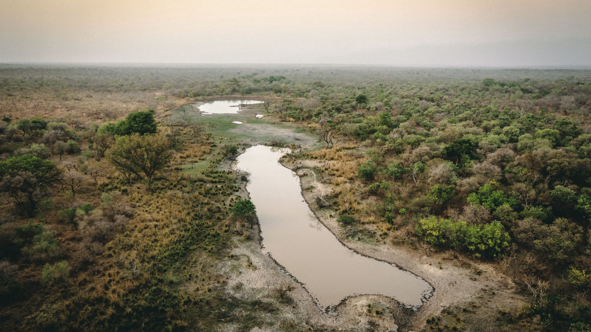 L'image montre un paysage naturel, probablement une savane ou une plaine. On y voit un cours d'eau sinueux traversant une vaste étendue de végétation, composée de buissons et d'arbres dispersés. Les ombres et les couleurs chaudes suggèrent un éclairage doux, peut-être au lever ou au coucher du soleil. Le sol est partiellement sec, avec des zones de terre exposée autour de l'eau. L'ensemble dégage une ambiance tranquille et sauvage, propre aux milieux naturels.