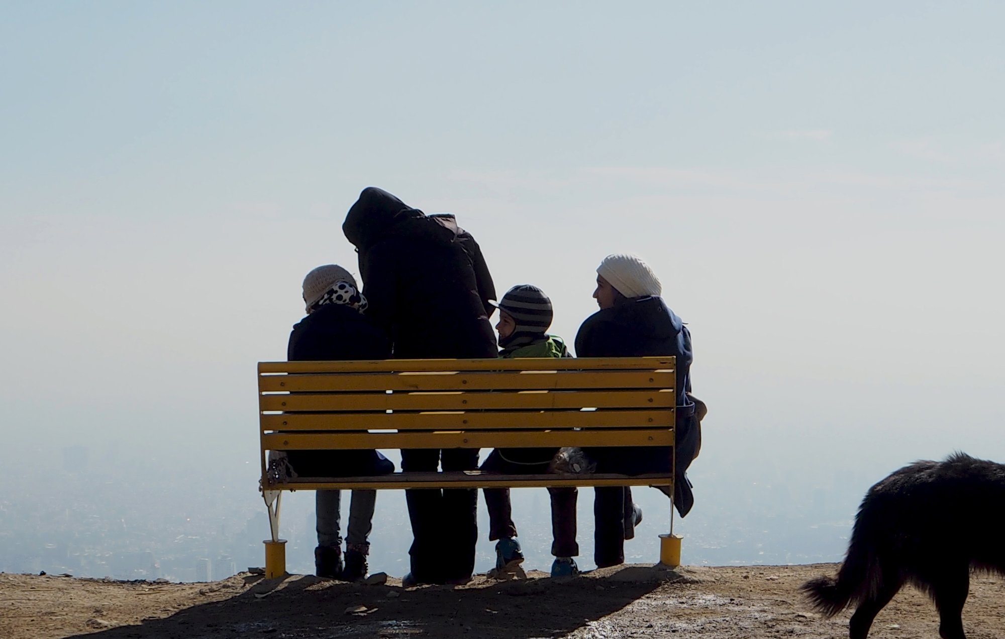 L'immagine mostra un gruppo di persone sedute su una panchina gialla situata in un luogo panoramico. Sono rivolte verso il paesaggio, apparentemente immersi nei loro pensieri o nella contemplazione della vista. La scena è caratterizzata da un'atmosfera serena e tranquilla, con una leggera foschia che sfuma l'orizzonte. Accanto alla panchina, un cane nero si avvicina, aggiungendo un tocco di vita all'immagine. Le persone indossano abbigliamento invernale, suggerendo che potrebbe essere una giornata fredda.