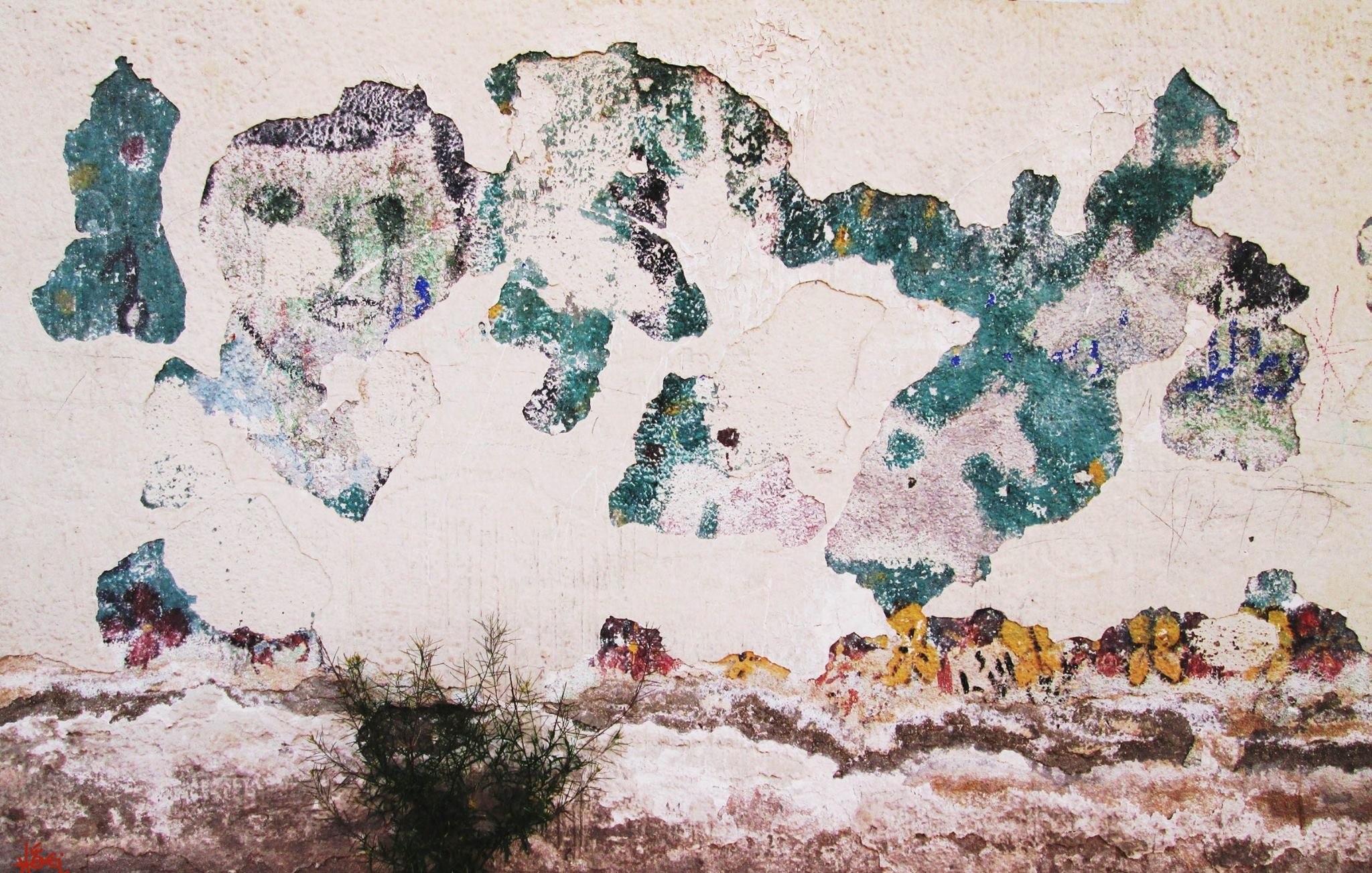 L'image montre un mur dont la peinture est écaillée, révélant des couches de couleur dégradées. Il y a des taches de vert, de bleu et d'autres teintes qui créent un aspect artistique et abstrait. Certaines parties du mur sont presque complètement dépouillées de peinture, laissant apparaître le crépi ou le béton en dessous. En bas, on voit une plante qui pousse, ajoutant une touche de vie à ce décor usé et texturé. L'ensemble évoque une atmosphère nostalgique et peut-être un sentiment d'abandon.