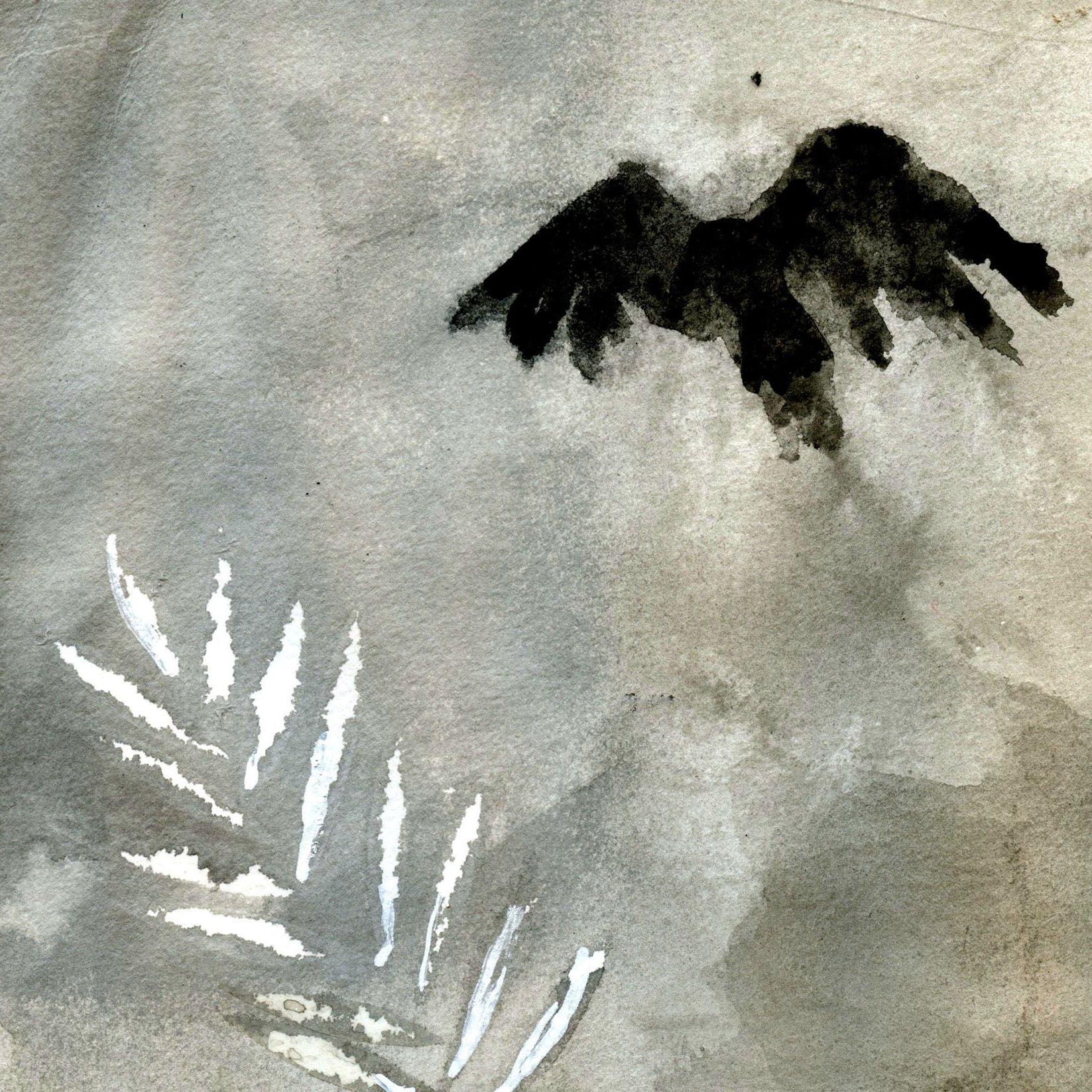 L'image présente un fond aquarelle aux nuances de gris et de noir. On y observe une silhouette sombre qui ressemble à un oiseau en vol, avec des ailes étendues. En bas à gauche, quelques traits blancs évoquent des feuilles ou des motifs végétaux. L'ensemble crée une atmosphère douce et mélancolique, avec un contraste subtil entre les éléments sombres et clairs.