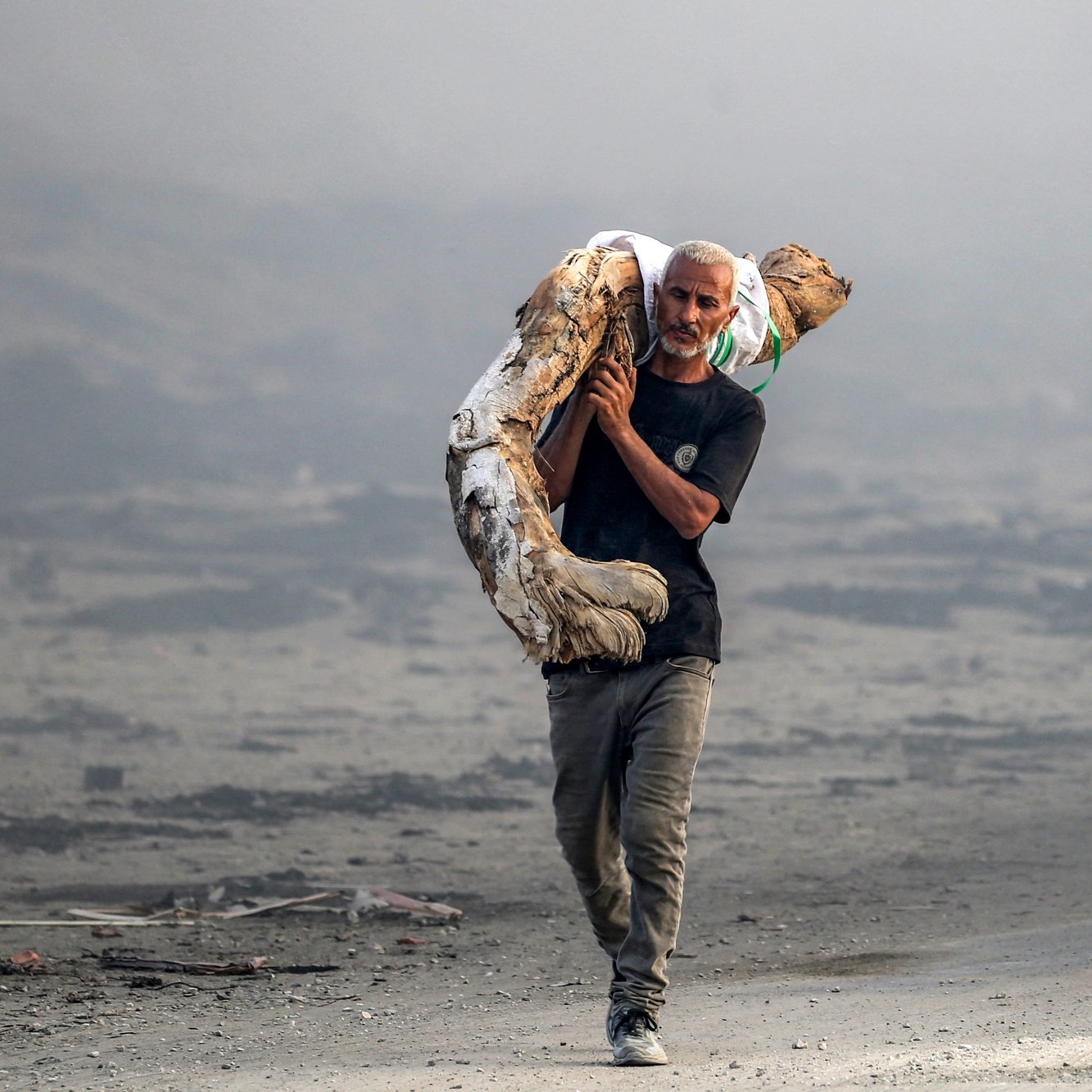 Un homme portant un tronc d'arbre dans un paysage dévasté et brumeux.