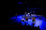 L'image montre une scène de théâtre dynamique. Sur scène, plusieurs acteurs sont engagés dans une performance. La lumière est tamisée, créant une ambiance intense, avec des jeux d'ombre et de lumières bleues. Les artistes semblent exprimer des émotions fortes, certains sont en mouvement, tandis que d'autres se trouvent sur une plateforme surélevée. Le public est visible en bas, suggérant une atmosphère immersive et captivante.