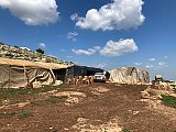 Le campement bédouin d'Ibzeq