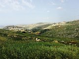 Vue depuis la colline d'Har Brakha sur le village palestinien d'Iraq Bourin, {« un repère de terroristes »} pour Ophir.