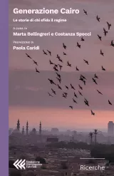 Un cielo al tramonto con uccelli in volo sopra la silhouette di edifici.