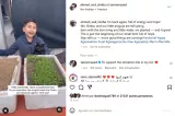 Un garçon souriant avec un chat devant des plantations d'arugula.