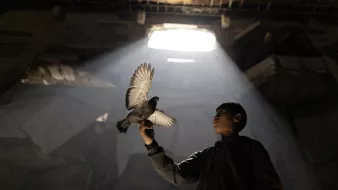 Un garçon tient un pigeon sous un rayon de lumière dans un lieu sombre.