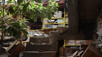 L'image montre un espace intérieur, apparemment désordonné. On y voit un escalier en béton partiellement recouvert de débris et de boîtes. À côté de l'escalier, il y a une plante verte, ce qui ajoute une touche de vie à cet environnement. En arrière-plan, des étagères remplies de livres et d'objets se pressent, donnant l'impression que l'endroit est utilisé comme entrepôt ou bibliothèque abandonnée. Les lumières naturelles entrent par une ouverture en haut, éclairant partiellement la scène.