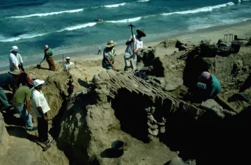Des archéologues creusent sur une plage, entourés de sable et de vagues.