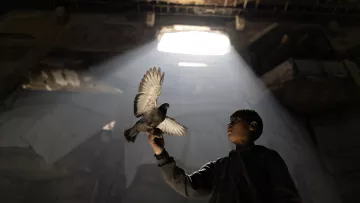 Un garçon tient un pigeon sous un rayon de lumière dans un lieu sombre.