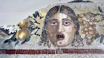 L'image présente un ancien mosaïque représentant un visage humain. Le caractère exprime une émotion marquée, semblant étonné ou effrayé. Autour du visage, il y a des éléments décoratifs, notamment des grappes de raisin et des fruits, qui ajoutent une touche colorée et contrastent avec le fond neutre de la mosaïque. La technique utilisée évoque la richesse de l'art ancien et son attention aux détails.