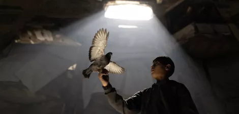 Un ragazzo tiene un piccione su un dito, in un ambiente illuminato da un raggio di luce.